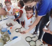 Prefeitura abre agendamento às escolas para ação educativa sobre biodiversidade do Rio Sorocaba