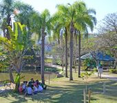 Curso de férias do Parque da Água Vermelha recebe inscrições a partir desta quarta-feira (8)