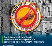 Prefeitura realiza ação de combate aos escorpiões na sexta-feira (31) no Jardim Imperatriz