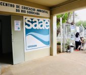 Centro de Educação Ambiental do Rio Sorocaba tem exposição e doação de mudas de árvores frutíferas neste sábado (15)